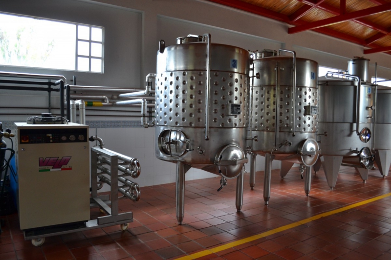 cave-SAUZE-min_wine_production_cantine_winery_drink_alcohol_vine_beverage-902036